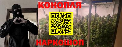 мдма Камышлов